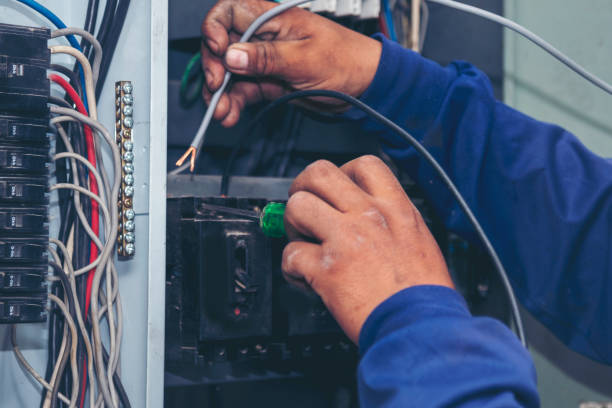 Best Ceiling Fan Installation Electrician  in Le Center, MN